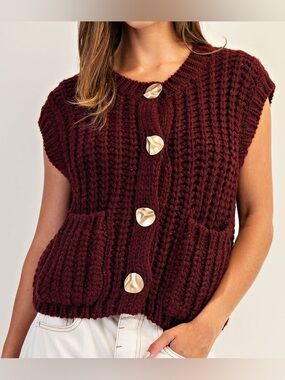 Zara Knit Button Down Sweater Vest